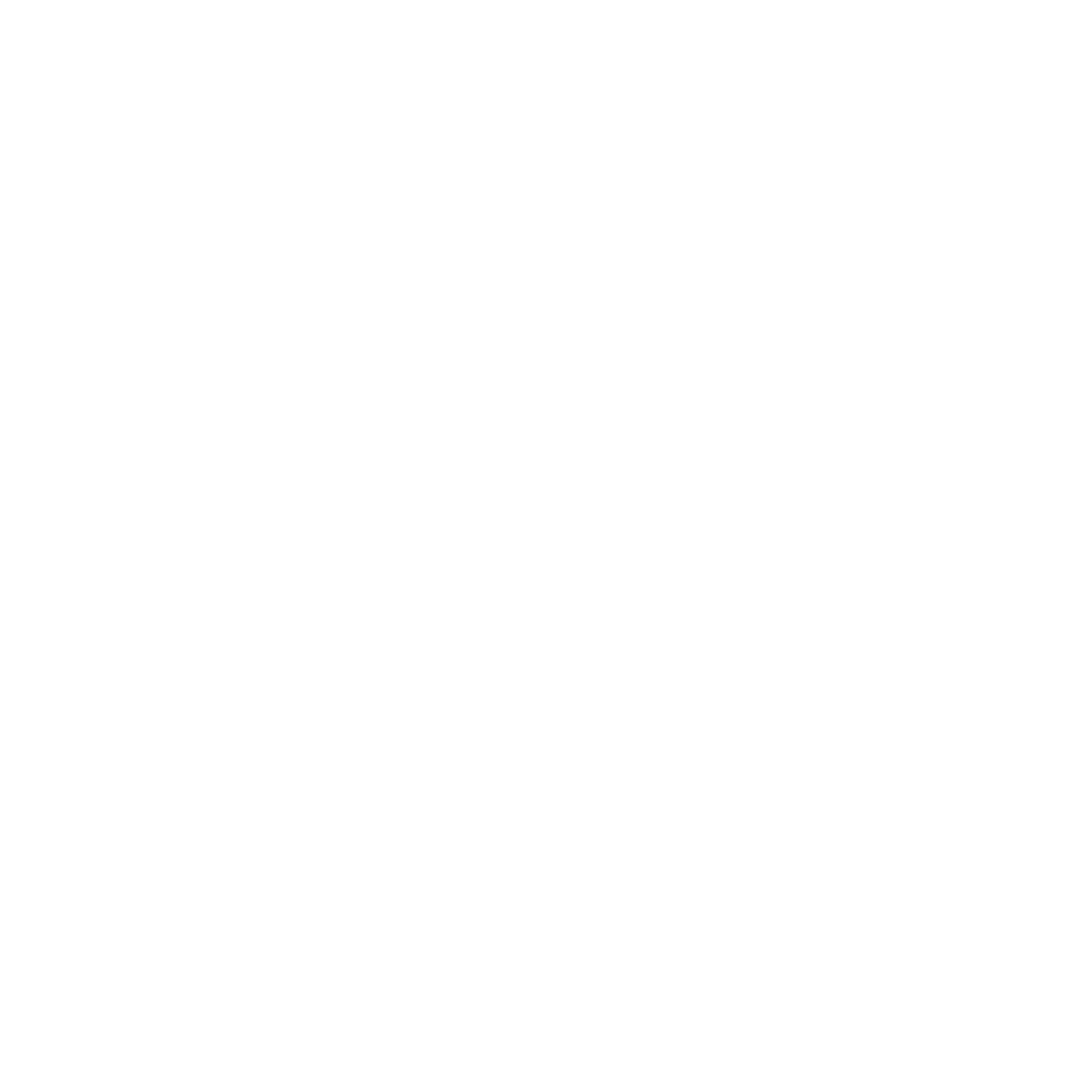 Logo Name Vision Works